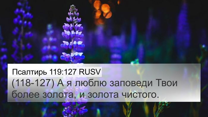 Псалтирь 119:127 RUSV Bible Verse Image