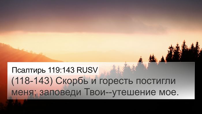 Псалтирь 119:143 RUSV Bible Verse Image