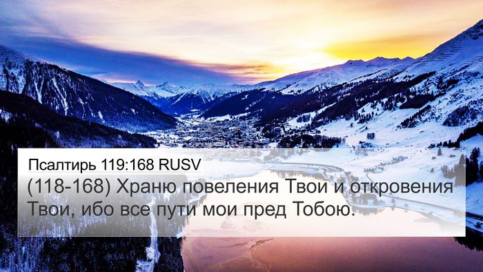 Псалтирь 119:168 RUSV Bible Verse Image