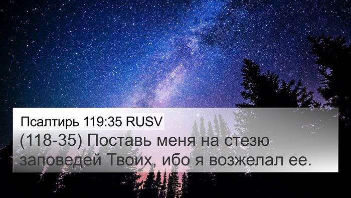 Псалтирь 119:35 RUSV Bible Verse Image