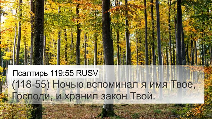 Псалтирь 119:55 RUSV Bible Verse Image
