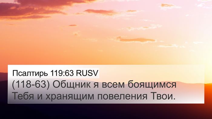 Псалтирь 119:63 RUSV Bible Verse Image