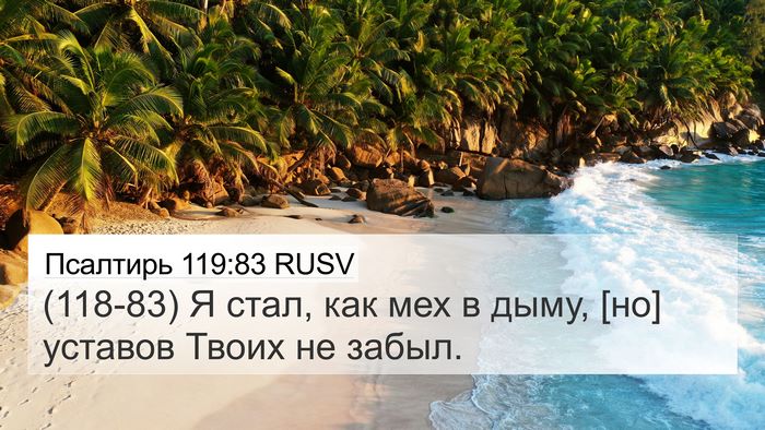 Псалтирь 119:83 RUSV Bible Verse Image
