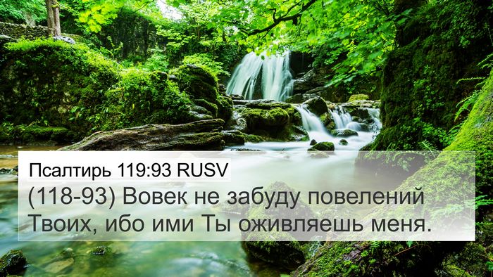 Псалтирь 119:93 RUSV Bible Verse Image