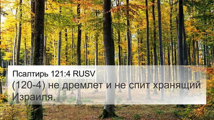 Псалтирь 121:4 RUSV Bible Verse Image