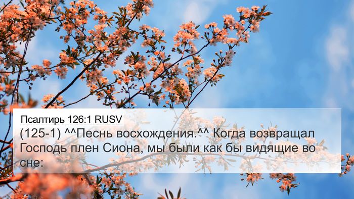 Псалтирь 126:1 RUSV Bible Verse Image