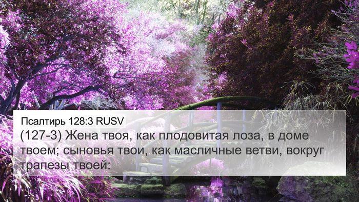 Псалтирь 128:3 RUSV Bible Verse Image