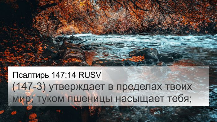 Псалтирь 147:14 RUSV Bible Verse Image