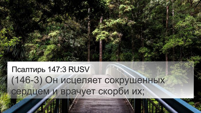 Псалтирь 147:3 RUSV Bible Verse Image