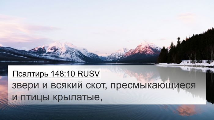 Псалтирь 148:10 RUSV Bible Verse Image