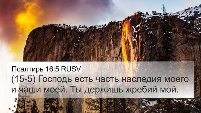 Псалтирь 16:5 RUSV Bible Verse Image