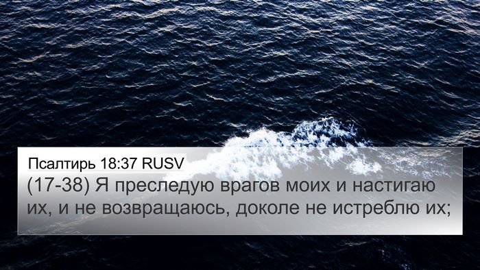 Псалтирь 18:37 RUSV Bible Verse Image