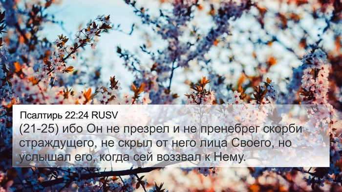 Псалтирь 22:24 RUSV 4K Wallpaper - (21-25) ибо Он не презрел и не - 4K Wallpaper Bible Verse