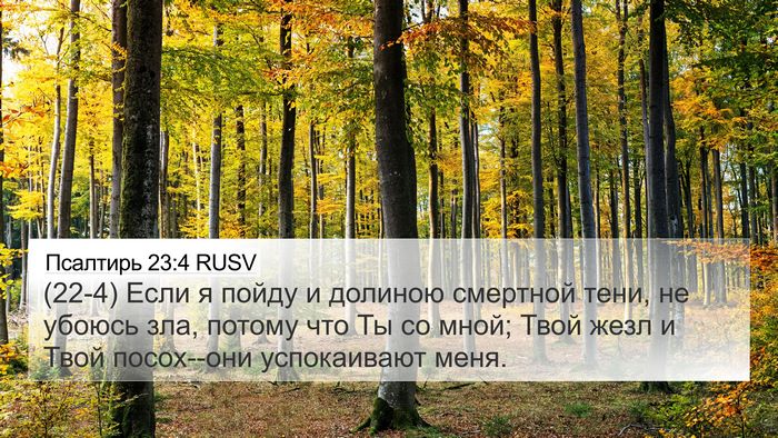 Псалтирь 23:4 RUSV Bible Verse Image