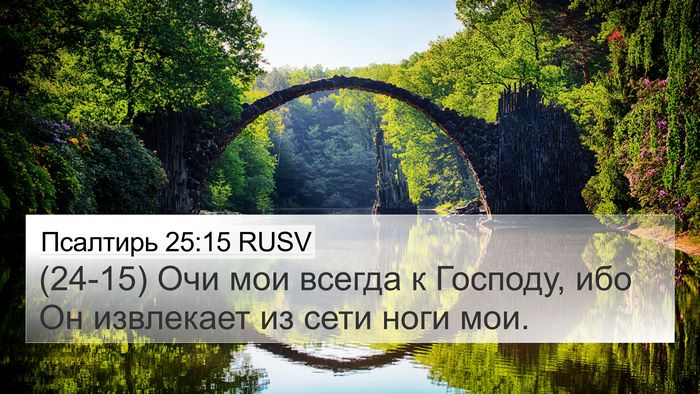 Псалтирь 25:15 RUSV Bible Verse Image