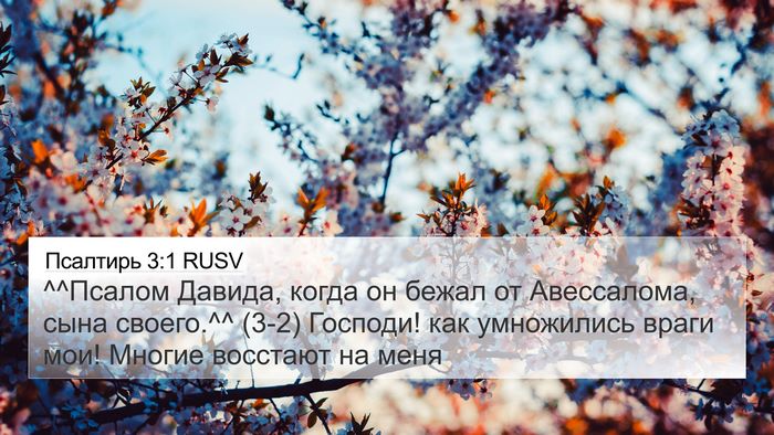 Псалтирь 3:1 RUSV Bible Verse Image