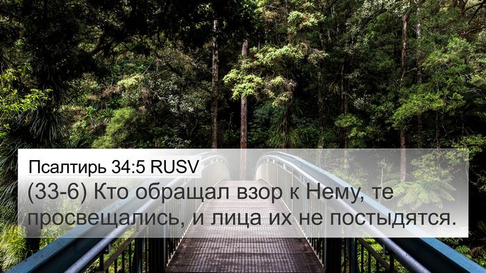 Псалтирь 34:5 RUSV Bible Verse Image