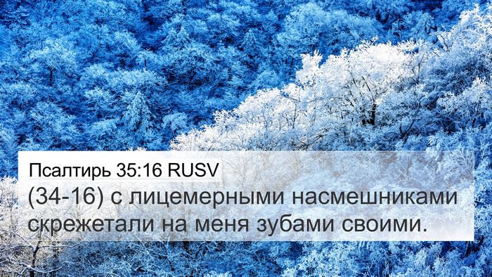 Псалтирь 35:16 RUSV Bible Verse Image