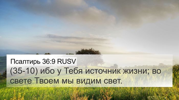 Псалтирь 36:9 RUSV Bible Verse Image