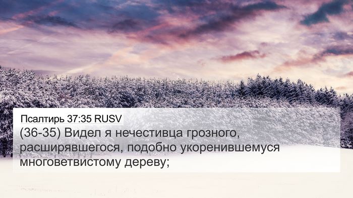 Псалтирь 37:35 RUSV Bible Verse Image
