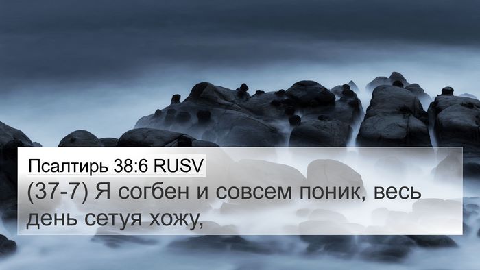 Псалтирь 38:6 RUSV Bible Verse Image