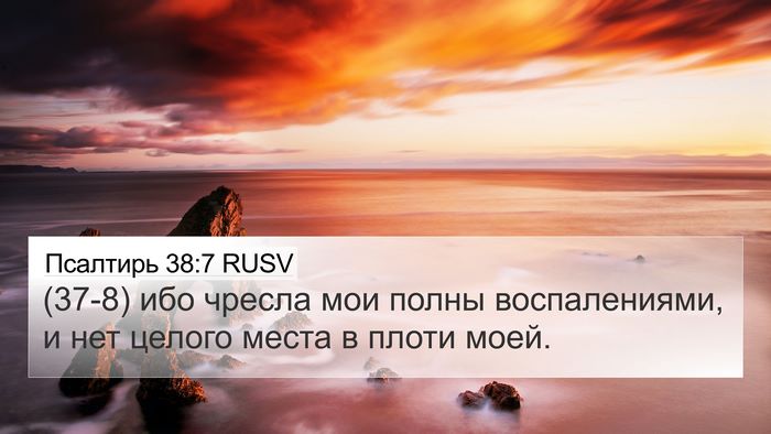 Псалтирь 38:7 RUSV Bible Verse Image