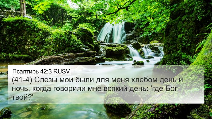 Псалтирь 42:3 RUSV 4K Wallpaper - (41-4) Слезы мои были для меня - 4K Wallpaper Bible Verse