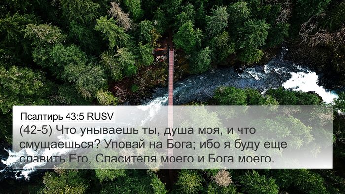 Псалтирь 43:5 RUSV Bible Verse Image