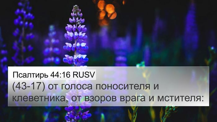 Псалтирь 44:16 RUSV Bible Verse Image