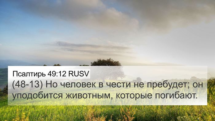 Псалтирь 49:12 RUSV Bible Verse Image