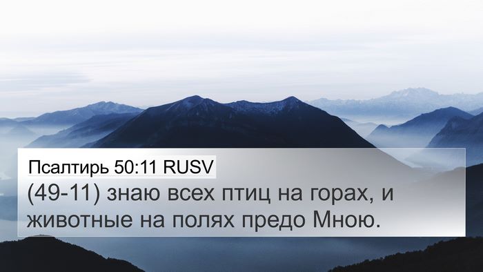 Псалтирь 50:11 RUSV 4K Wallpaper - (49-11) знаю всех птиц на - 4K Wallpaper Bible Verse