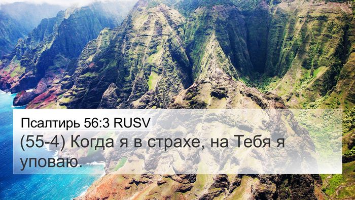 Псалтирь 56:3 RUSV Bible Verse Image
