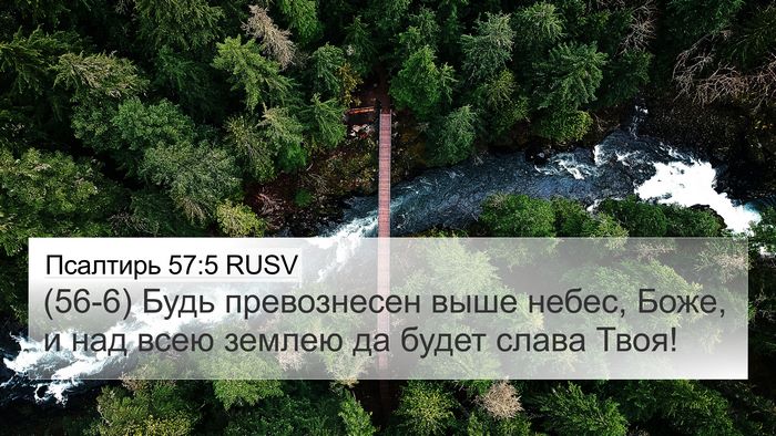Псалтирь 57:5 RUSV Bible Verse Image