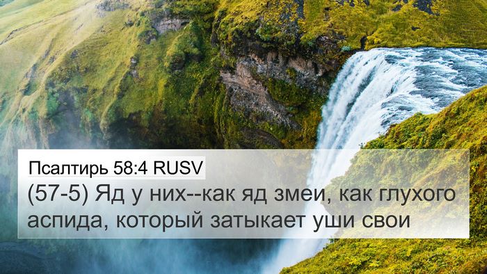 Псалтирь 58:4 RUSV Bible Verse Image