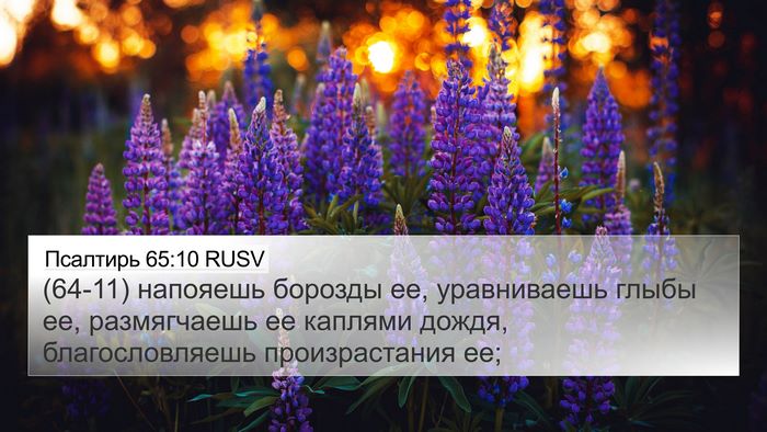 Псалтирь 65:10 RUSV Bible Verse Image