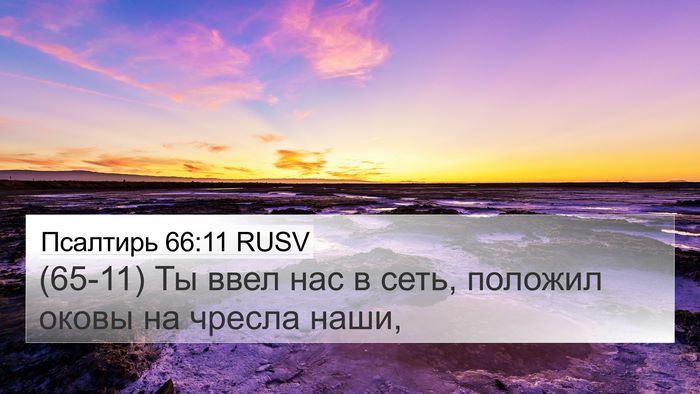 Псалтирь 66:11 RUSV Bible Verse Image