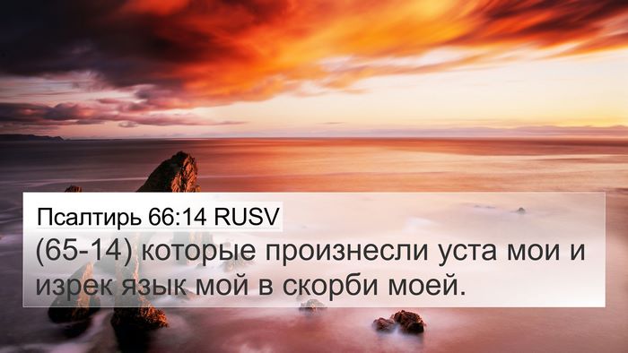 Псалтирь 66:14 RUSV Bible Verse Image