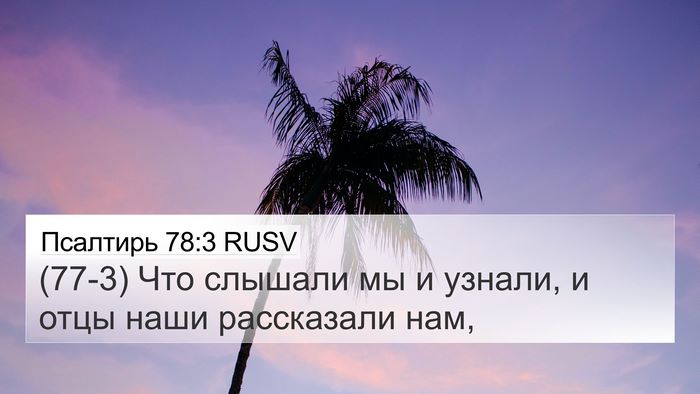 Псалтирь 78:3 RUSV Bible Verse Image