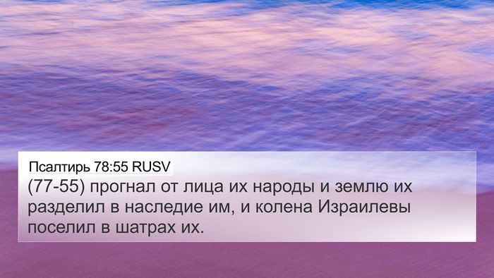 Псалтирь 78:55 RUSV Bible Verse Image