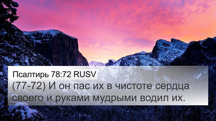 Псалтирь 78:72 RUSV Bible Verse Image