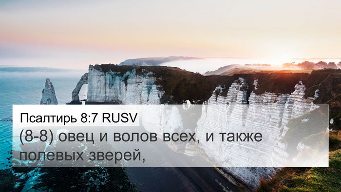 Псалтирь 8:7 RUSV 4K Wallpaper - (8-8) овец и волов всех, и - 4K Wallpaper Bible Verse