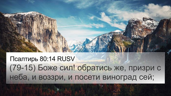 Псалтирь 80:14 RUSV Bible Verse Image