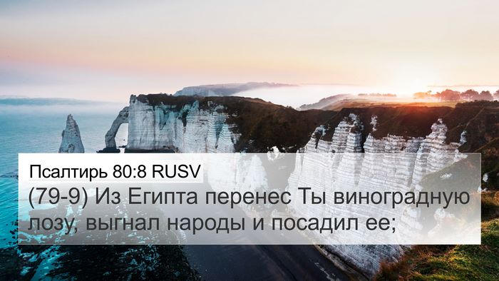 Псалтирь 80:8 RUSV Bible Verse Image