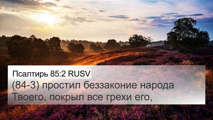 Псалтирь 85:2 RUSV Bible Verse Image