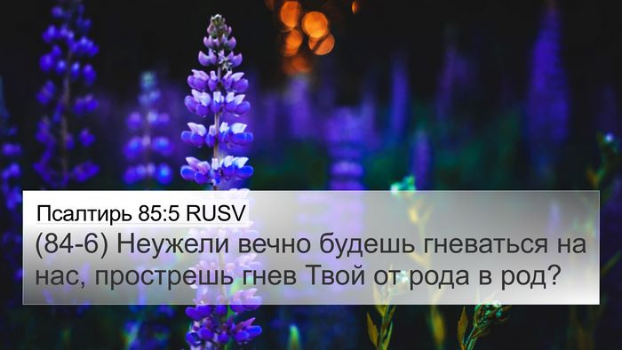 Псалтирь 85:5 RUSV Bible Verse Image