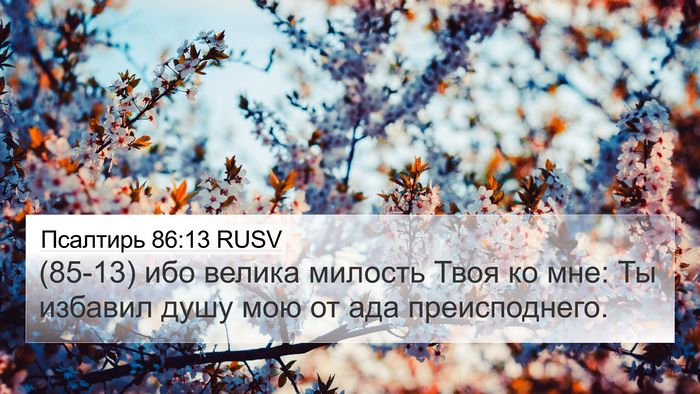 Псалтирь 86:13 RUSV Bible Verse Image
