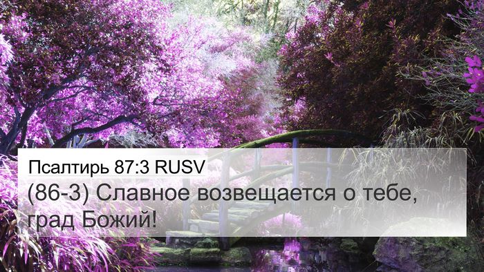 Псалтирь 87:3 RUSV Bible Verse Image