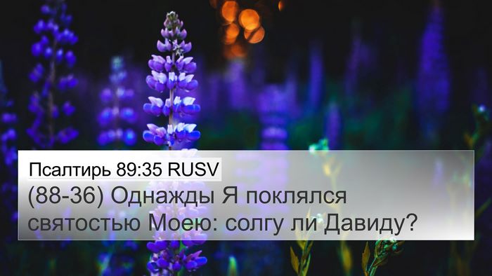 Псалтирь 89:35 RUSV Bible Verse Image