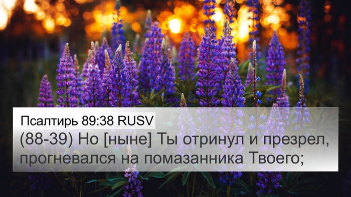 Псалтирь 89:38 RUSV Bible Verse Image