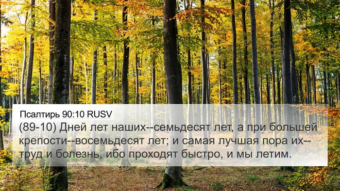 Псалтирь 90:10 RUSV Bible Verse Image